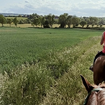 Equi-libra - NORMIER