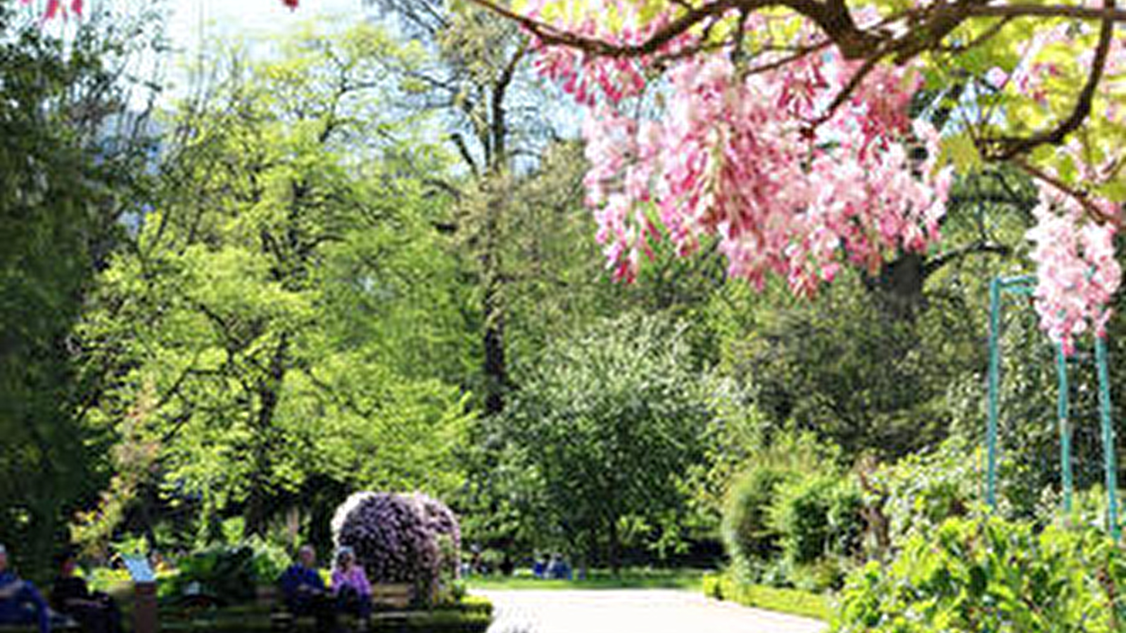 Jardin de l'Arquebuse - Jardin botanique