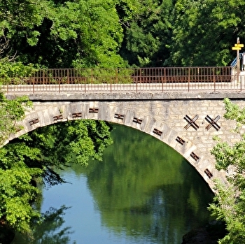 Le Sapoitier - 60B - CHAMPAGNOLE