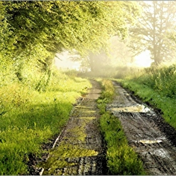 Les Lavoirs de Coulangeron - COULANGERON