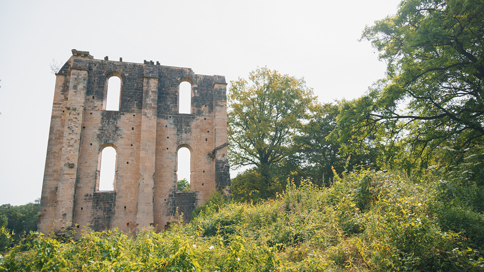 Vestiges de l'Abbaye de Cherlieu