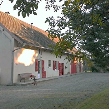 Les cinq roses - DESNES