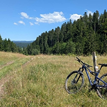 Taremberg - n°78 parcours classique - VAUX-ET-CHANTEGRUE
