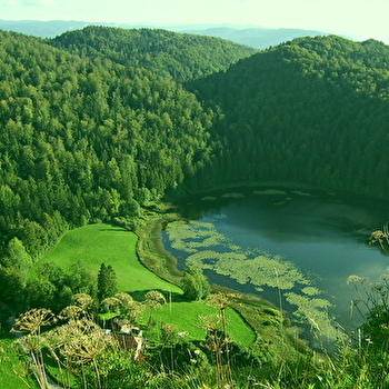 Belvédère de la Roche d'Antre - VILLARDS-D'HERIA