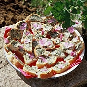 Balades malicieuses - SAINT-GERMAIN-DE-MODEON