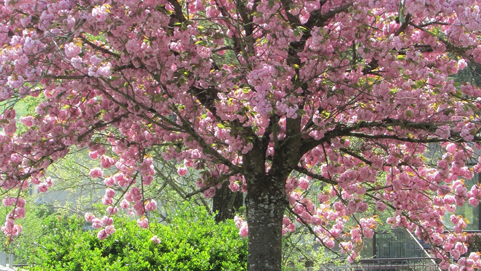 Aire de pique-nique Place des Salines