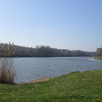 Aire de pique-nique des étangs - LAMARCHE-SUR-SAONE