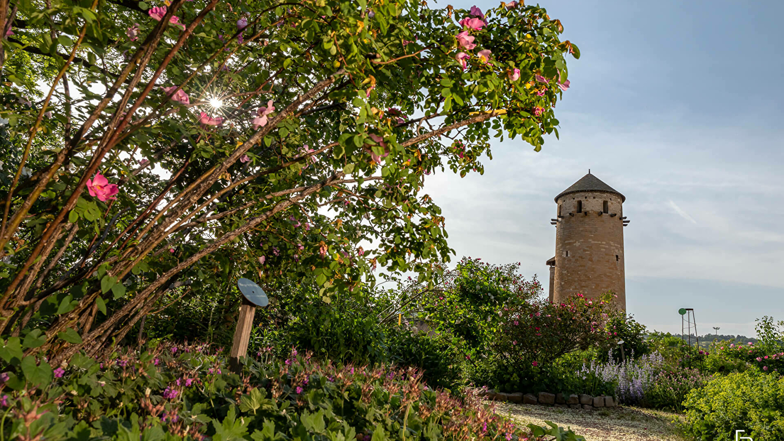 La Roseraie de Cluny