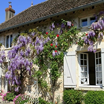 La Maison de Nini - FARGES-LES-CHALON