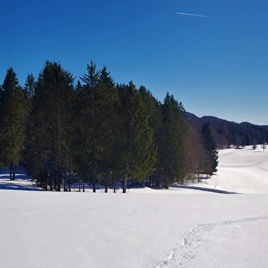 Itinéraire Raquettes du site de Lachat 'Le Golet Sapin'