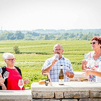 Divignes - MEURSAULT