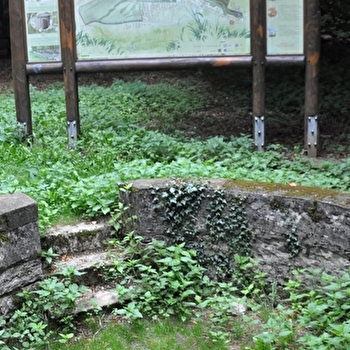 Parc de la Combe Persil - DIJON