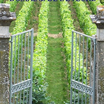 Domaine de l'Evêché - Joussier Quentin et Vincent - SAINT-DENIS-DE-VAUX