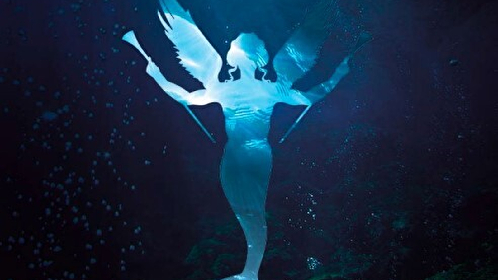 Exposition Le chant des Ondes