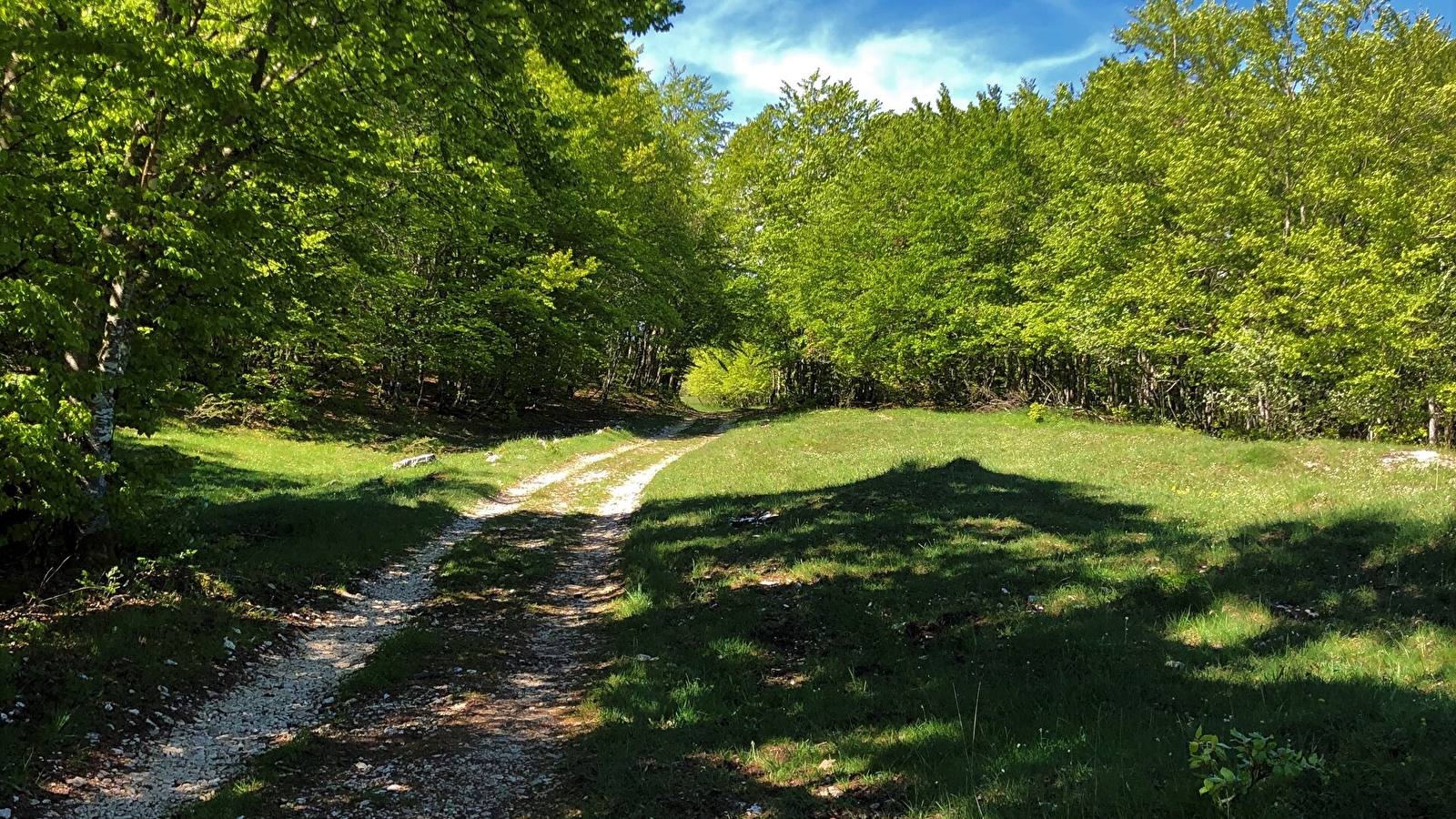 Tour de Pays VTT Bugey - Grand Colombier - Espace FFC Ain Forestière : étape 2 La Praille - Les Plans d'Hotonnes