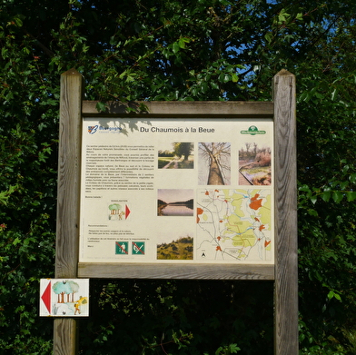 Balade en famille : le sentier-nature du Coteau du Chaumois
