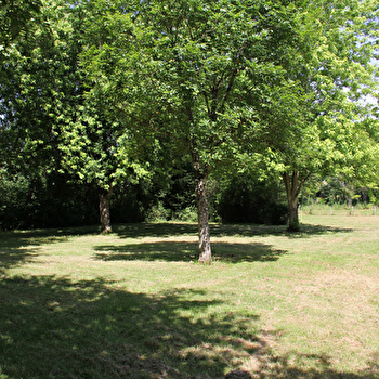 Camping de la Base de loisirs Activital de Baye - BAZOLLES