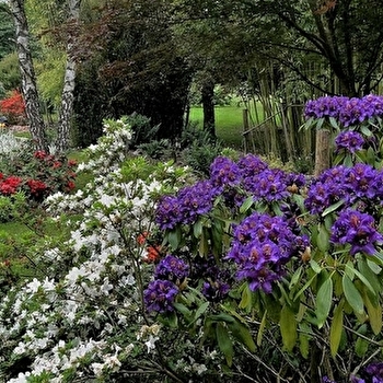 Jardins aquatiques ACORUS - AUTOREILLE