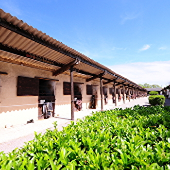 Domaine équestre de Chevillon - CHARNY OREE DE PUISAYE