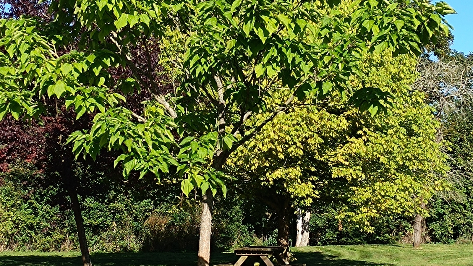 Aire de pique-nique de Cérilly