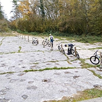 Circuit VTTAE n°27 (rouge) - Piste des Dinosaures - Falaise de Bérranger - CIZE