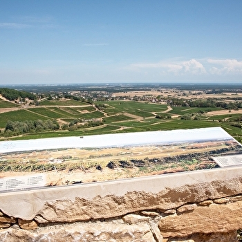Aire de pique-nique Table des Climats - MONTAGNY-LES-BUXY