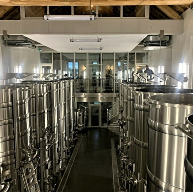 Expérience Immersion au Domaine Evenstad