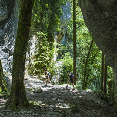 Aiguillons de Brasse