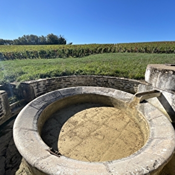 Lavoir de Cercot - SAULES
