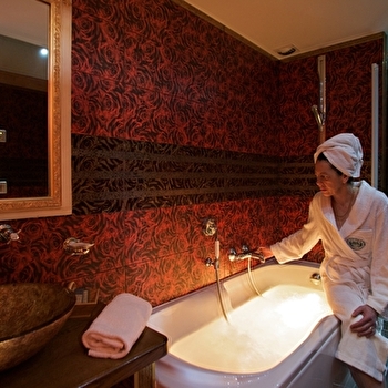 Château de Challanges - BEAUNE