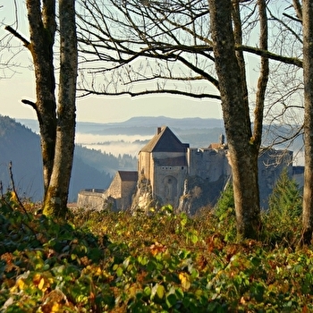 Point de vue de la Fauconnière - PONTARLIER