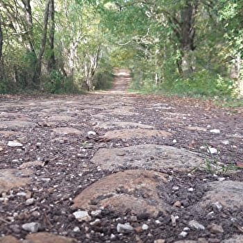 Voie Trudaine - LA CELLE-SUR-LOIRE