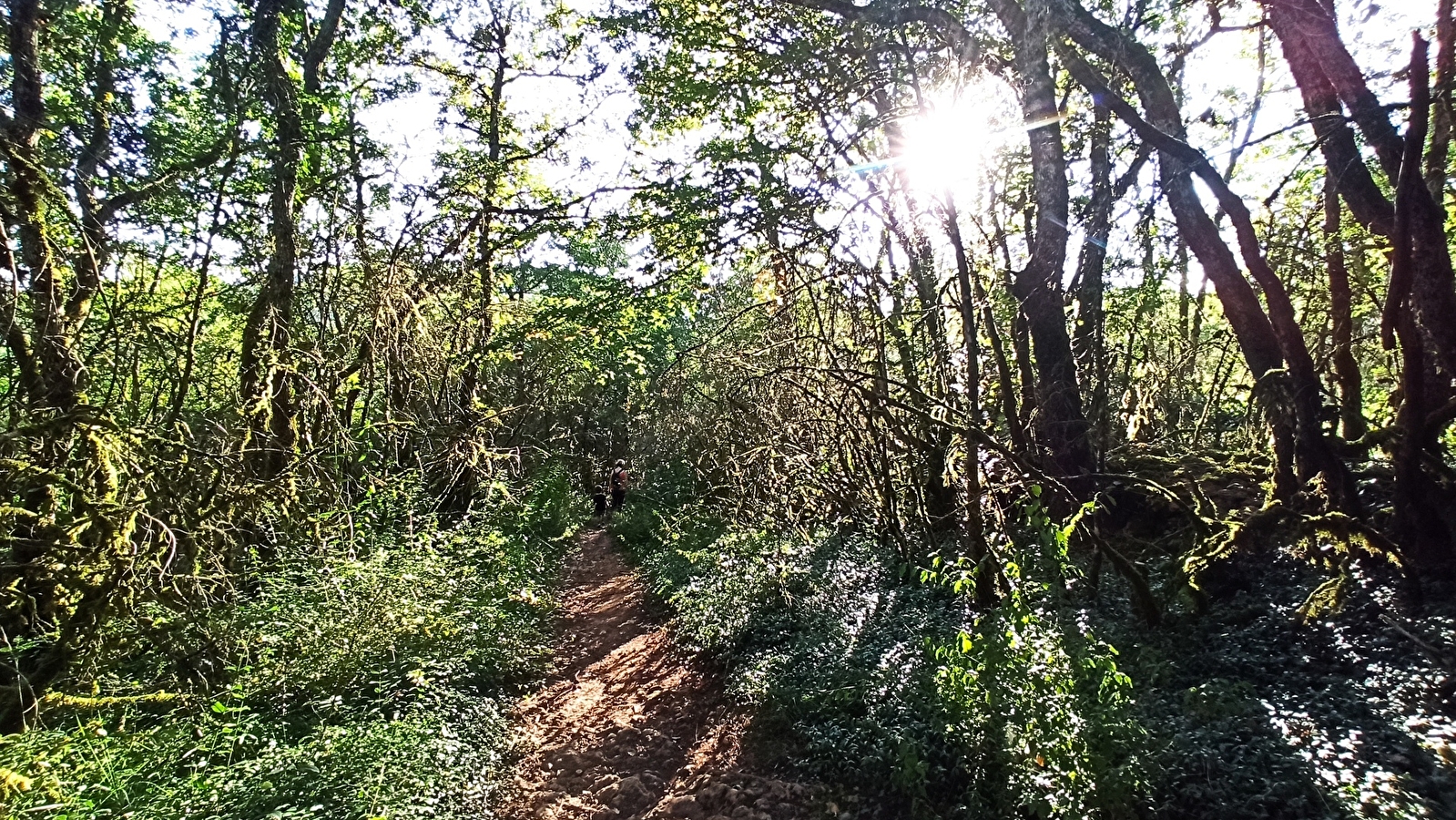 Le Printemps des ENS de Saône-et-Loire : l’ENS d’Azé, du toit des grottes à la Mouge