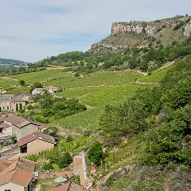 Le Jardin des Berthelots