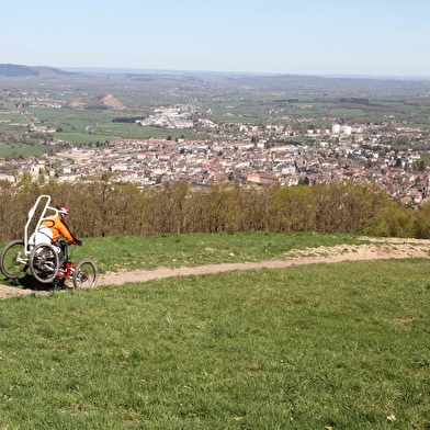Site de piste de descente VTT