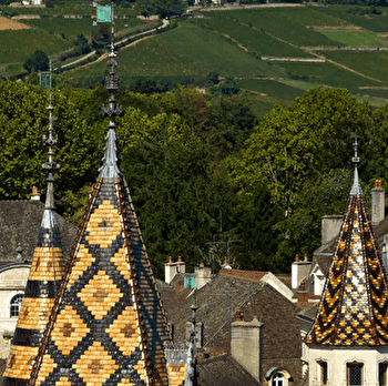 Hôtel-Dieu - Hospices de Beaune
Programmation 2025 - HUMANITÉ
Patrimoine vivant - BEAUNE