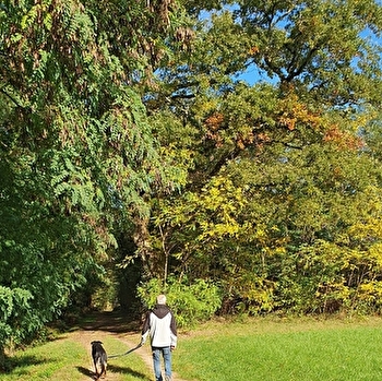 Circuit randonnée : de l'arboretum. - BAGE-DOMMARTIN