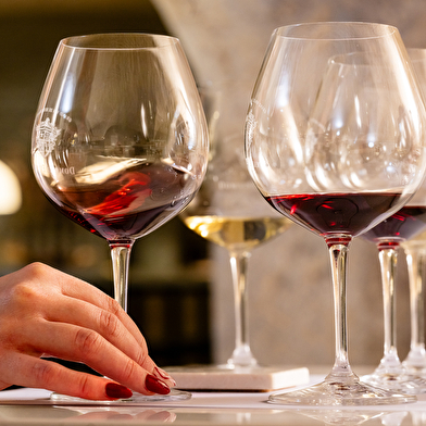 Expérience Découverte du Domaine Evenstad