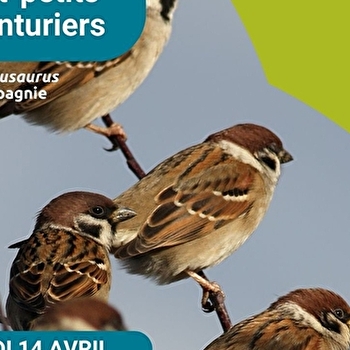 Les Tout-petits Aventuriers - matinée nature pour les moins de 6 ans - spéciale 'Moineausaurus et compagnie' - POUILLY-SUR-LOIRE