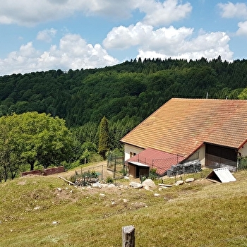 La Ferme de Là-Haut - HAUT-DU-THEM-CHATEAU-LAMBERT
