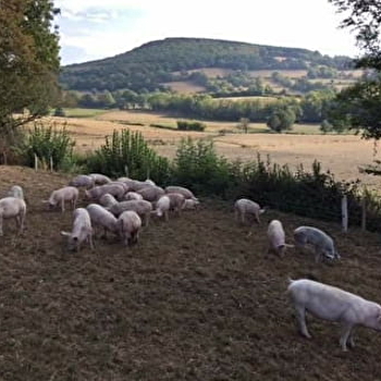GAEC de Rivière - LAROCHEMILLAY