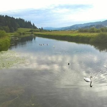 Aire de stationnement - La Gouille - OYE-ET-PALLET