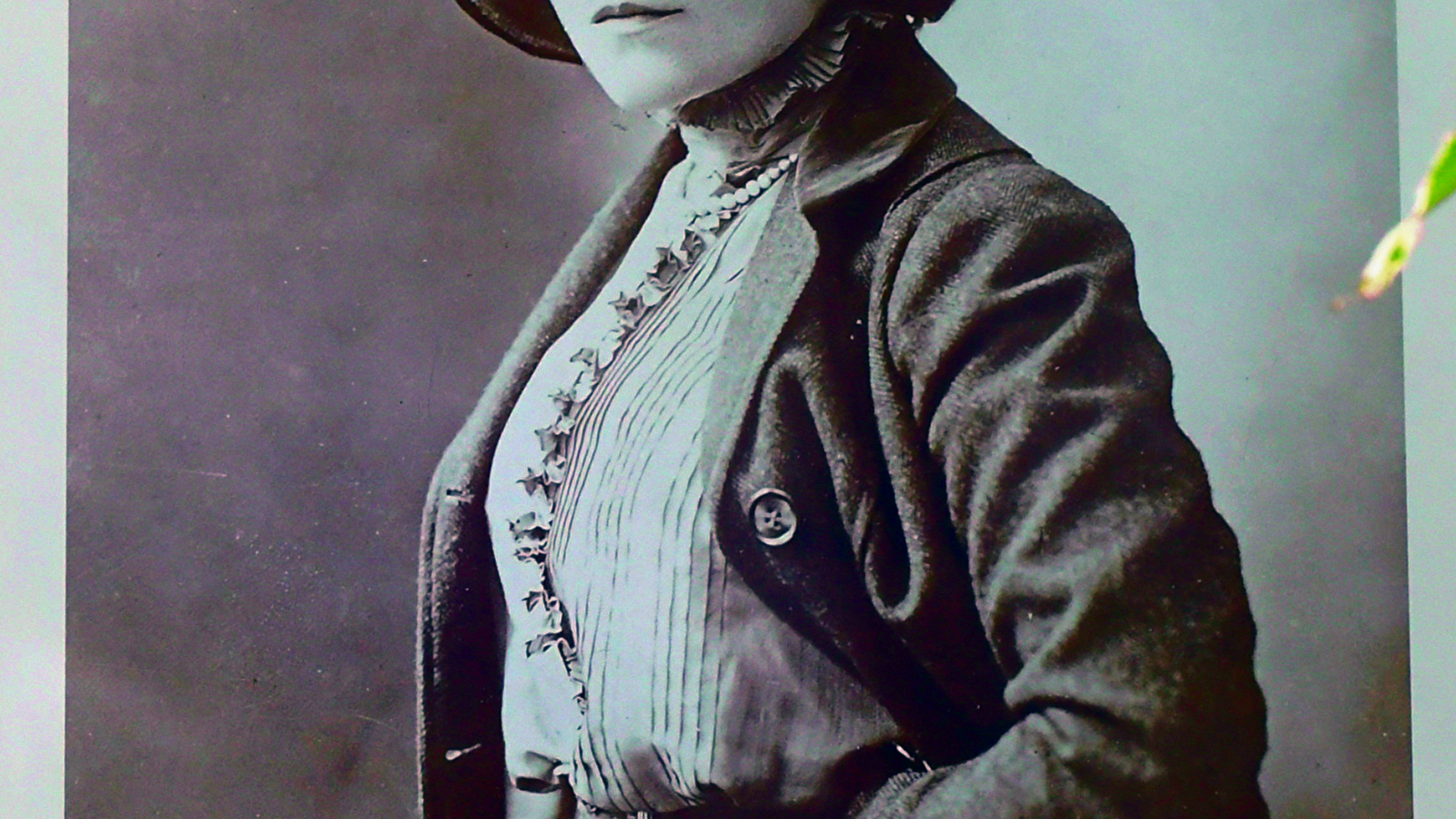 Nos célèbres bisontines