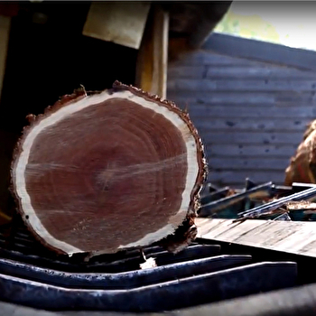 Groupe Charlois - MURLIN