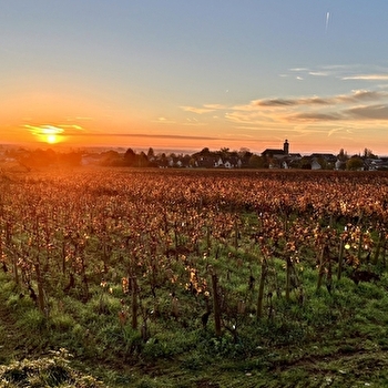 GR signature - MARSANNAY-LA-COTE