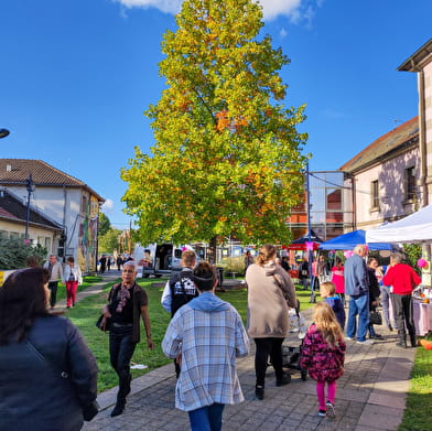 Auditorium - Centre culturel François Mitterrand 