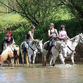 Centre de tourisme équestre Le Moulin de Vaux - NOCHIZE