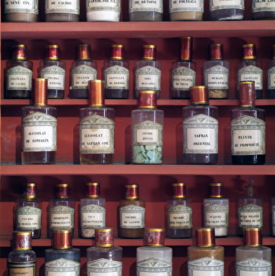 Hôtel-Dieu - Hospices de Beaune - Parcours sensible > L'Hôtel-Dieu : histoires & matières