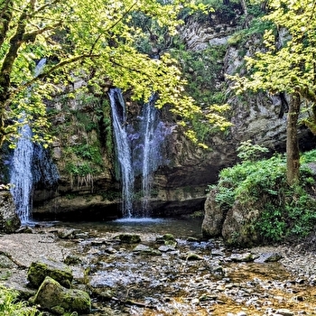 Parcours VTT 50 vert - Tour des Lésines - Espace FFC Ain Forestière - PLATEAU D'HAUTEVILLE