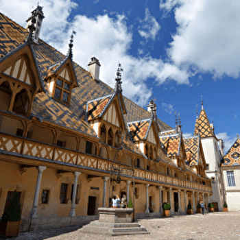 À la découverte des vignobles et des canaux de Bourgogne - BEAUNE